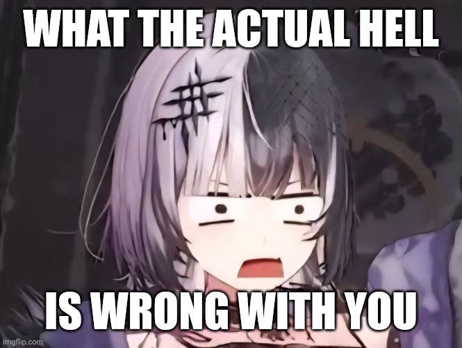 Shiori questions your sanity | WHAT THE ACTUAL HELL; IS WRONG WITH YOU | image tagged in vtuber,hololive,anime meme,animeme,funny,anime girl | made w/ Imgflip meme maker