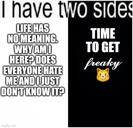 I am dead serious with this one | TIME TO GET 𝓯𝓻𝓮𝓪𝓴𝔂 😼; LIFE HAS NO MEANING. WHY AM I HERE? DOES EVERYONE HATE ME AND I JUST DON'T KNOW IT? | image tagged in i have two sides | made w/ Imgflip meme maker