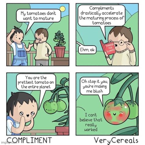 Very Cereals | image tagged in comics,verycereals,tomatoes,compliment,blush | made w/ Imgflip meme maker