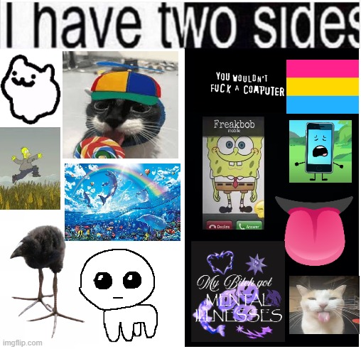 one side is closeted | image tagged in i have two sides | made w/ Imgflip meme maker