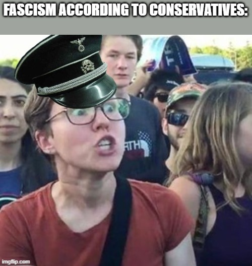 FASCISM ACCORDING TO CONSERVATIVES: | image tagged in trigger a leftist,nazi,leftist,conservatives | made w/ Imgflip meme maker