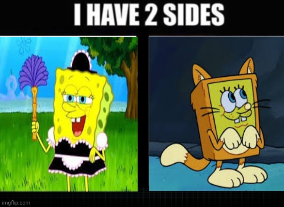 Pretend I was the first one to do this meme | image tagged in i have two sides | made w/ Imgflip meme maker