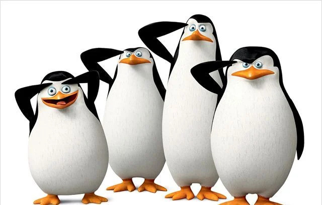 the silly penguin Blank Meme Template