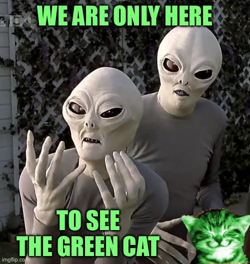 Aliens | WE ARE ONLY HERE TO SEE THE GREEN CAT | image tagged in aliens | made w/ Imgflip meme maker