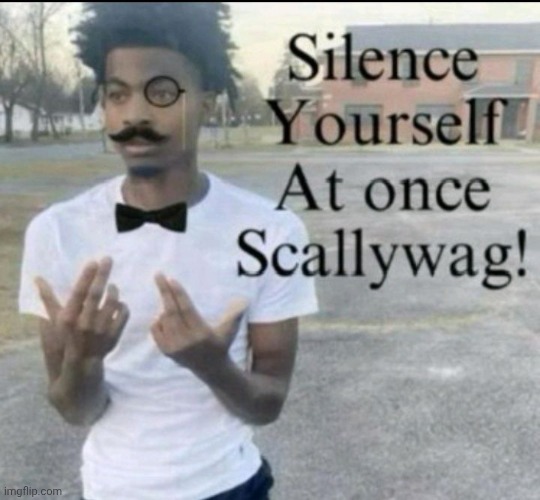 Silence yourself at once scallywag | image tagged in silence yourself at once scallywag | made w/ Imgflip meme maker