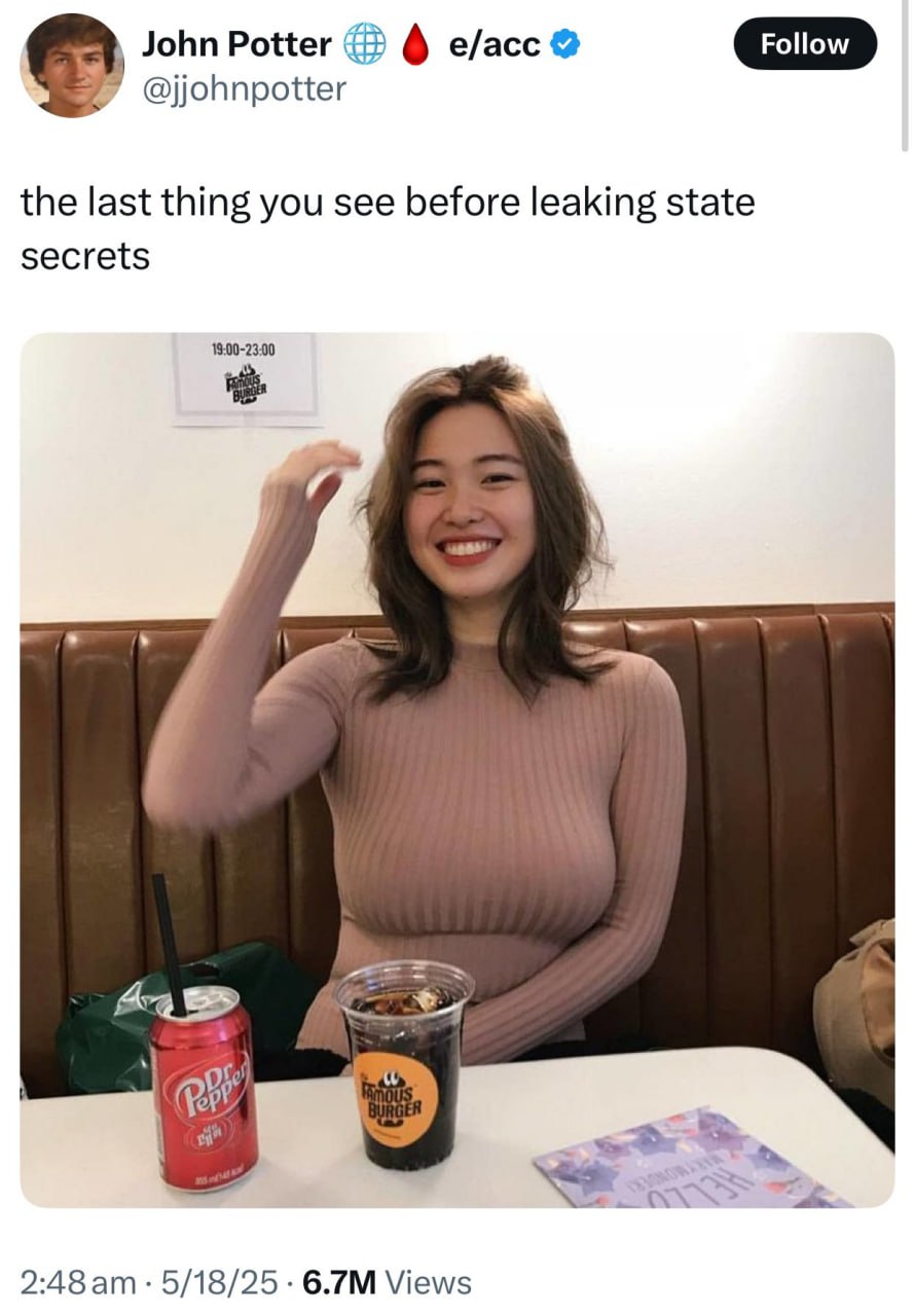 the last thing you see before leaking state secrets Blank Meme Template