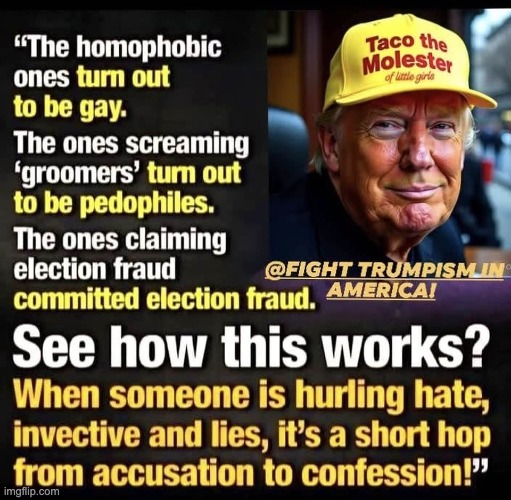 Trump is also a fraud, a conman, a grifter, a cheat | image tagged in trump is also a fraud a conman a grifter a cheat | made w/ Imgflip meme maker