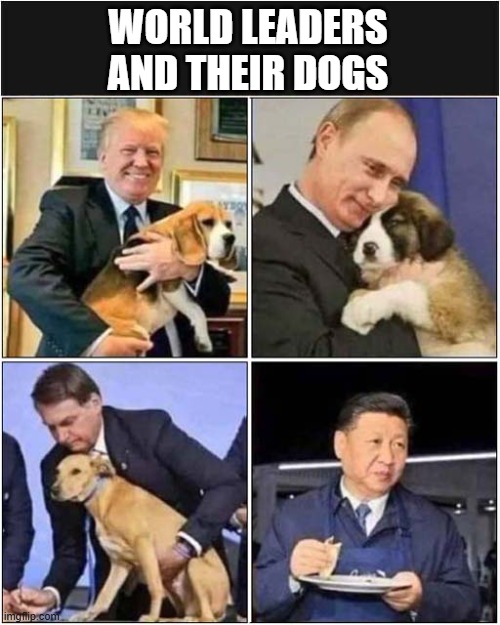 China ? What The ... | WORLD LEADERS
AND THEIR DOGS | image tagged in world leaders,dogs,dinner,dark humour | made w/ Imgflip meme maker