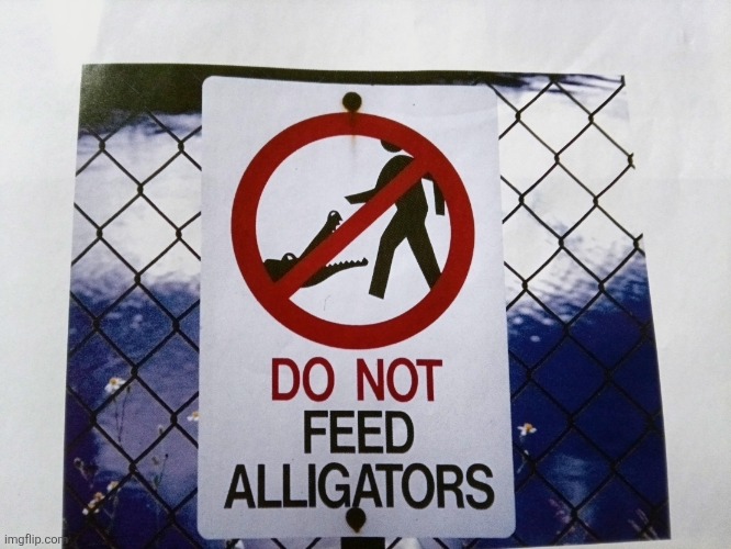 Noted | image tagged in noted | made w/ Imgflip meme maker