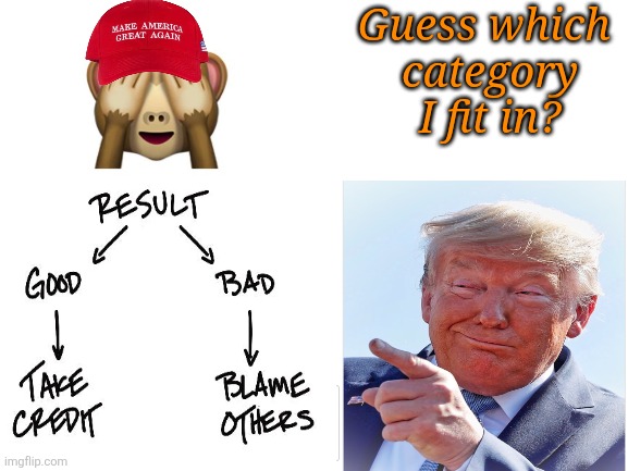 Maga don't see, maga don't do. | Guess which 
category I fit in? | image tagged in trump,maga,maga don't see what trump do,maga loves trump like jim jones cult,trump incompetent president | made w/ Imgflip meme maker