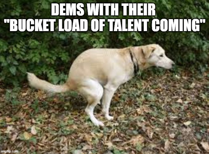 Dog pooping  | DEMS WITH THEIR 
"BUCKET LOAD OF TALENT COMING" | image tagged in dog pooping | made w/ Imgflip meme maker