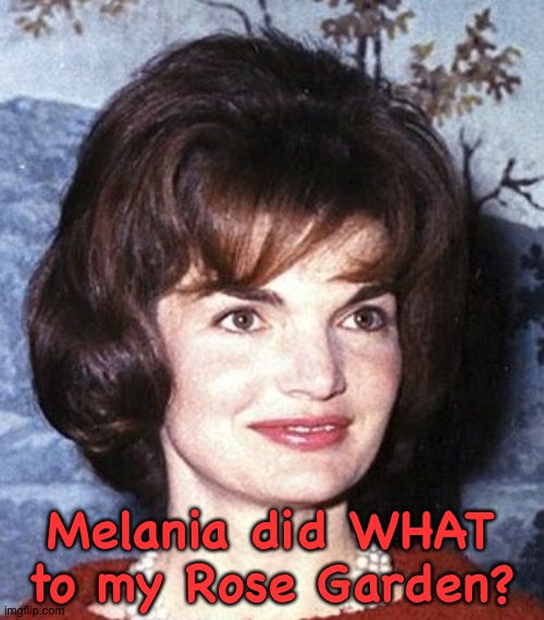 Jackie is watching from beyond | Melania did WHAT to my Rose Garden? | image tagged in jackie | made w/ Imgflip meme maker