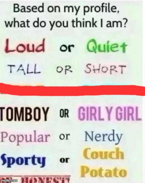 based on my profile what do you think I am? | image tagged in based on my profile what do you think i am | made w/ Imgflip meme maker