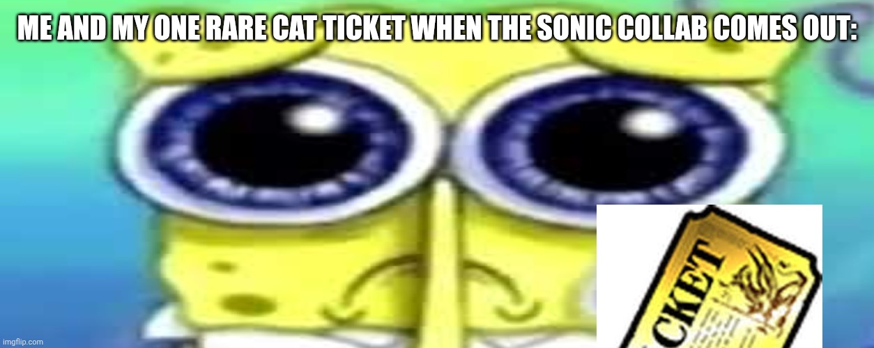 Sad Spong | ME AND MY ONE RARE CAT TICKET WHEN THE SONIC COLLAB COMES OUT: | image tagged in sad spong | made w/ Imgflip meme maker