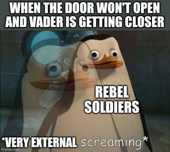 Private Internal Screaming | WHEN THE DOOR WON'T OPEN AND VADER IS GETTING CLOSER; REBEL SOLDIERS; *VERY EXTERNAL | image tagged in private internal screaming | made w/ Imgflip meme maker