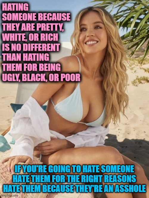Sydney Sweeney | HATING SOMEONE BECAUSE THEY ARE PRETTY, WHITE, OR RICH
IS NO DIFFERENT THAN HATING THEM FOR BEING UGLY, BLACK, OR POOR; IF YOU'RE GOING TO HATE SOMEONE
HATE THEM FOR THE RIGHT REASONS
HATE THEM BECAUSE THEY'RE AN ASSHOLE | image tagged in sydney sweeney | made w/ Imgflip meme maker