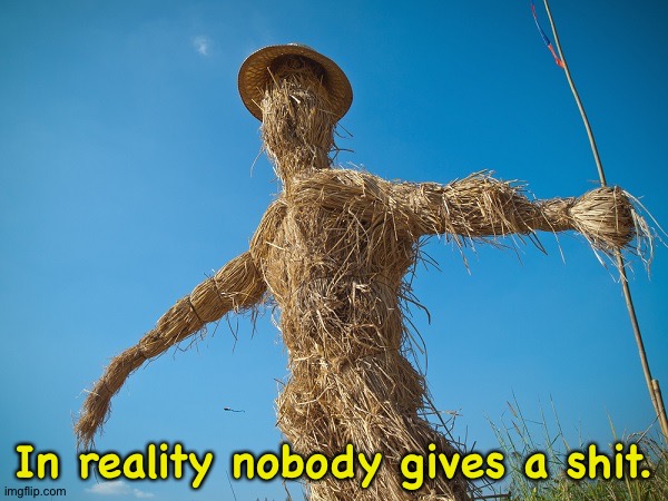Straw Man Argument | In reality nobody gives a shit. | image tagged in straw man argument | made w/ Imgflip meme maker