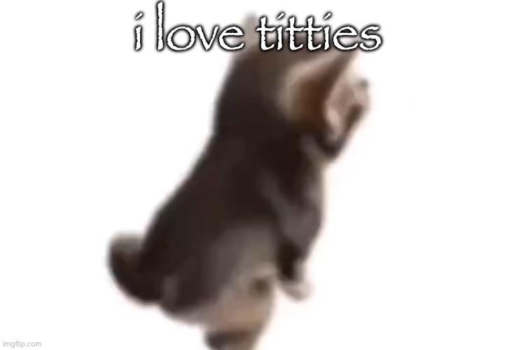 Side el gatito | i love titties | image tagged in side el gatito | made w/ Imgflip meme maker