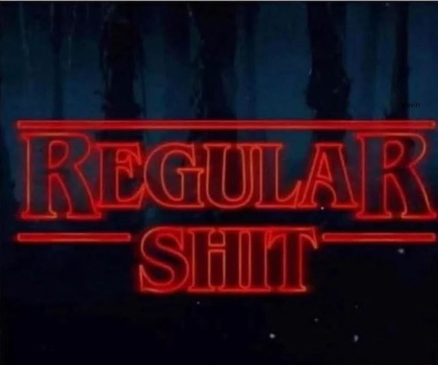 regular shi Blank Meme Template