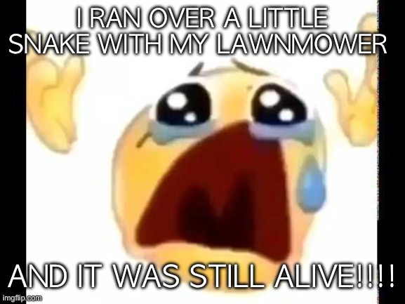 its like halfway intacts and its burrowing ;-; | I RAN OVER A LITTLE SNAKE WITH MY LAWNMOWER; AND IT WAS STILL ALIVE!!!! | image tagged in cursed crying emoji | made w/ Imgflip meme maker