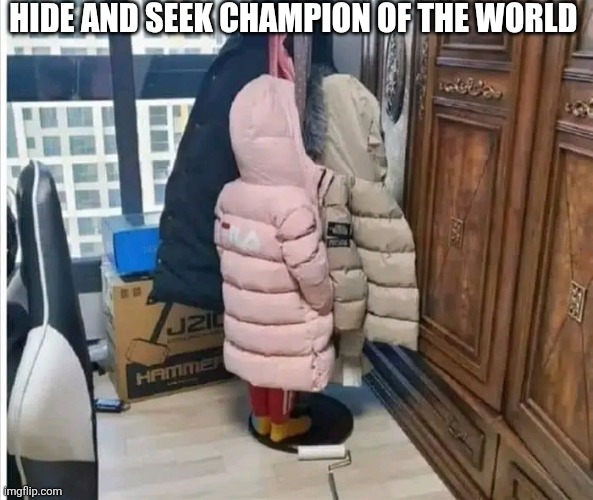 Hide And Seek Champion Of The World | HIDE AND SEEK CHAMPION OF THE WORLD | image tagged in chris joines | made w/ Imgflip meme maker