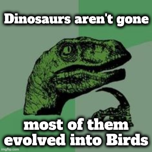 Time raptor  | Dinosaurs aren't gone most of them evolved into Birds | image tagged in time raptor | made w/ Imgflip meme maker