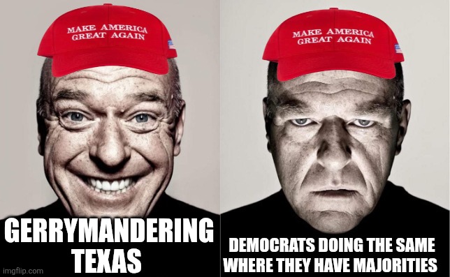 Gerrymandering | GERRYMANDERING TEXAS; DEMOCRATS DOING THE SAME WHERE THEY HAVE MAJORITIES | image tagged in donald trump,trump,maga,conservatives,nevertrump meme,democrats | made w/ Imgflip meme maker