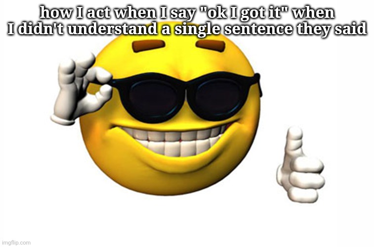 Meme Smile | how I act when I say "ok I got it" when I didn't understand a single sentence they said | image tagged in meme smile | made w/ Imgflip meme maker