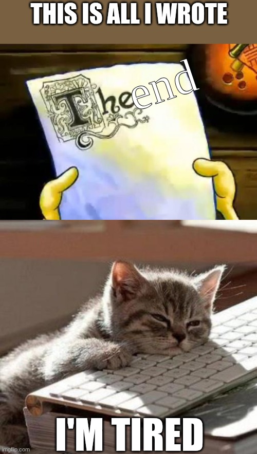 THIS IS ALL I WROTE; end; I'M TIRED | image tagged in spongebob essay,tired cat | made w/ Imgflip meme maker