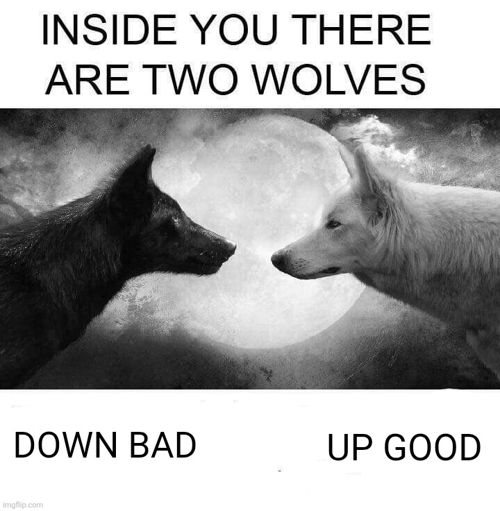 Inside you there are two wolves | DOWN BAD UP GOOD | image tagged in inside you there are two wolves | made w/ Imgflip meme maker