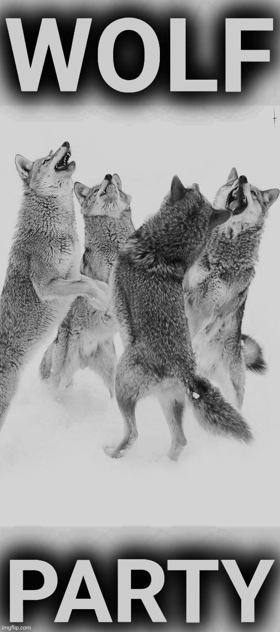 Wolf dance | WOLF PARTY | image tagged in wolf dance | made w/ Imgflip meme maker