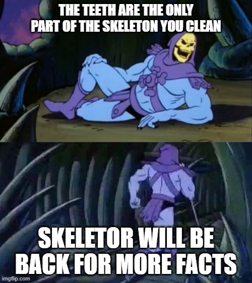 and they're disposable too | THE TEETH ARE THE ONLY PART OF THE SKELETON YOU CLEAN; SKELETOR WILL BE BACK FOR MORE FACTS | image tagged in skeletor disturbing facts,funny,memes,teeth,skeleton,cleaning | made w/ Imgflip meme maker