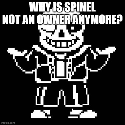What happened?!?!?? | WHY IS SPINEL NOT AN OWNER ANYMORE? | image tagged in sans undertale | made w/ Imgflip meme maker