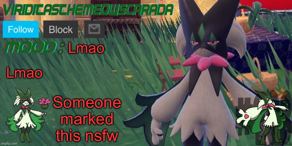 Viridicas | Lmao; Lmao; Someone marked this nsfw | image tagged in viridicas | made w/ Imgflip meme maker