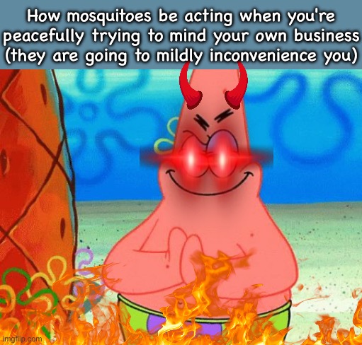 Sometimes bugspray doesn't even work. I once got bit real bad on my elbow when that happened. | How mosquitoes be acting when you're peacefully trying to mind your own business (they are going to mildly inconvenience you) | image tagged in mosquito attack,uhhhhh,memes,the dna of the soul | made w/ Imgflip meme maker