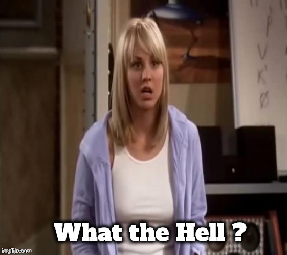 Confused Penny | What the Hell ? | image tagged in confused penny | made w/ Imgflip meme maker