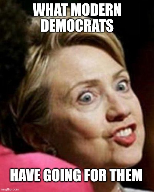 Hillary Clinton Fish | WHAT MODERN DEMOCRATS HAVE GOING FOR THEM | image tagged in hillary clinton fish | made w/ Imgflip meme maker