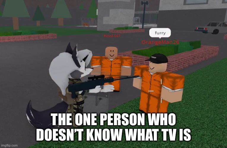 The one guy who doesn’t know what helluva boss is | THE ONE PERSON WHO DOESN’T KNOW WHAT TV IS | image tagged in funny | made w/ Imgflip meme maker