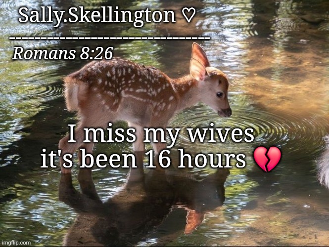 Sally's temp | I miss my wives it's been 16 hours 💔 | image tagged in sally's temp | made w/ Imgflip meme maker