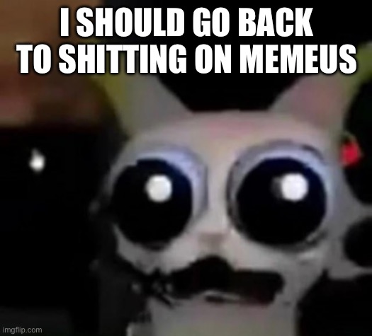 Auditor was two misunderstandings, memeus is the real threat | I SHOULD GO BACK TO SHITTING ON MEMEUS | image tagged in scared car | made w/ Imgflip meme maker
