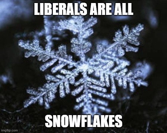 LIBERALS ARE ALL SNOWFLAKES | made w/ Imgflip meme maker
