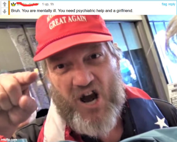 Average politics stream user | image tagged in angry trumper maga white supremacist | made w/ Imgflip meme maker