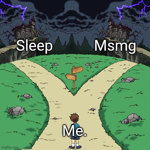 But why this template | Sleep; Msmg; Me. | image tagged in two paths | made w/ Imgflip meme maker