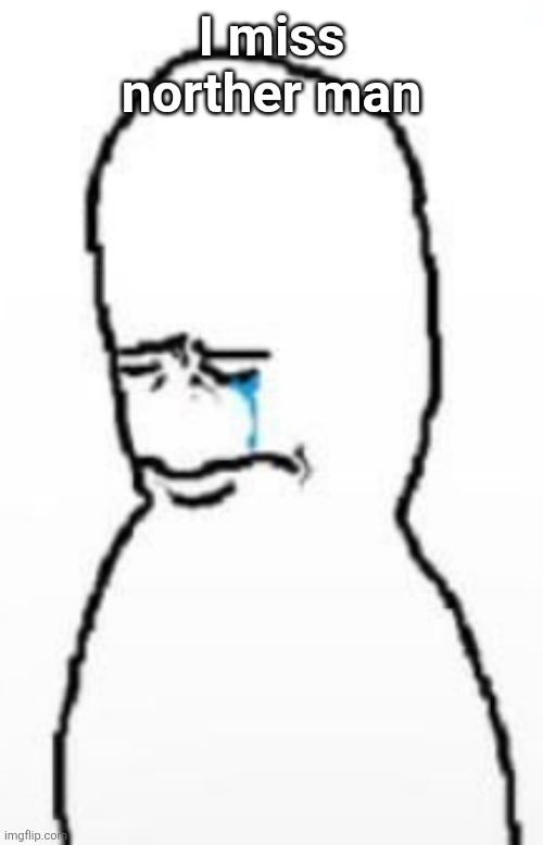 Sad fallenchungus guy | I miss norther man | image tagged in sad fallenchungus guy | made w/ Imgflip meme maker