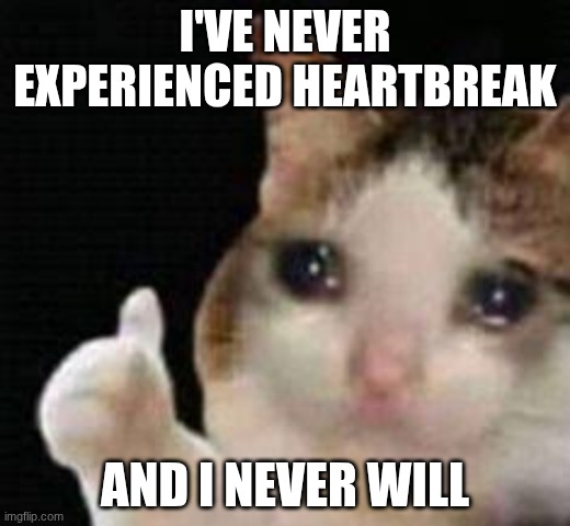 Approved crying cat | I'VE NEVER EXPERIENCED HEARTBREAK; AND I NEVER WILL | image tagged in approved crying cat | made w/ Imgflip meme maker