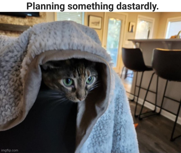 Dastardly | image tagged in dastard cat,cats,funny cat memes,planning,mischief,repost | made w/ Imgflip meme maker