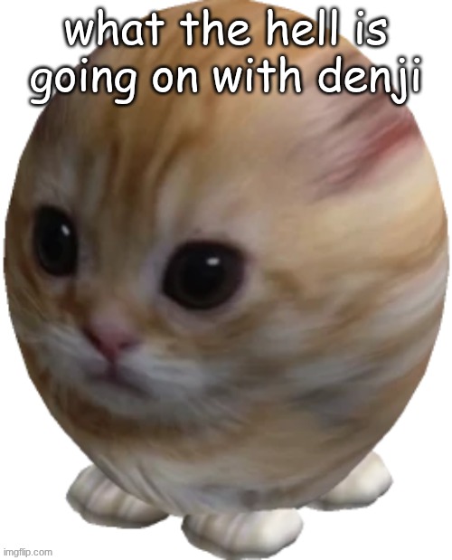 egg gatito | what the hell is going on with denji | image tagged in egg gatito | made w/ Imgflip meme maker