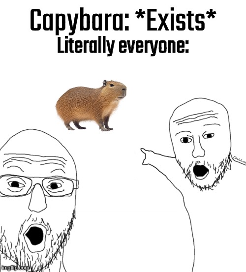 Capybara Memes | Capybara: *Exists*; Literally everyone:; ChristinaO | image tagged in soyjak pointing,capybara,animals,men,women,funny | made w/ Imgflip meme maker