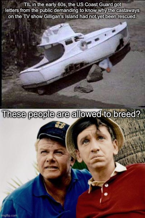 Gullible people | TIL in the early 60s, the US Coast Guard got letters from the public demanding to know why the castaways on the TV show Gilligan's Island had not yet been rescued. These people are allowed to breed? | image tagged in gilligan s island boat,gilligans island,gullible,television | made w/ Imgflip meme maker