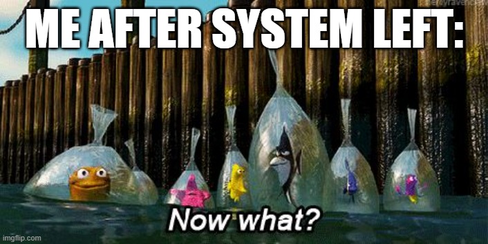 Now What? | ME AFTER SYSTEM LEFT: | image tagged in now what | made w/ Imgflip meme maker
